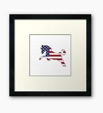American Flag – Horse Framed Print