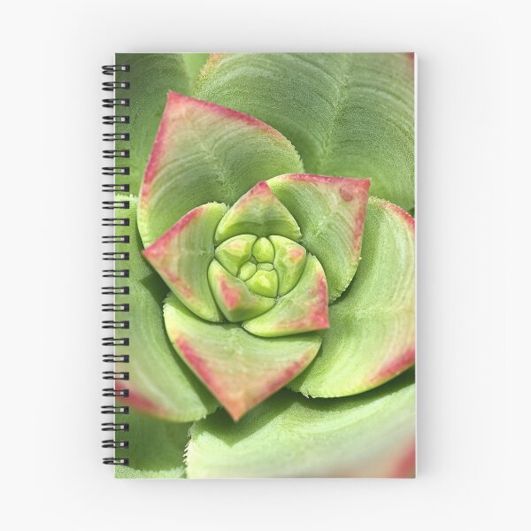 Artikelvorschau, Hühner und Küken Succulent entworfen und verkauft von Joy Watson - Natural Light Photography .