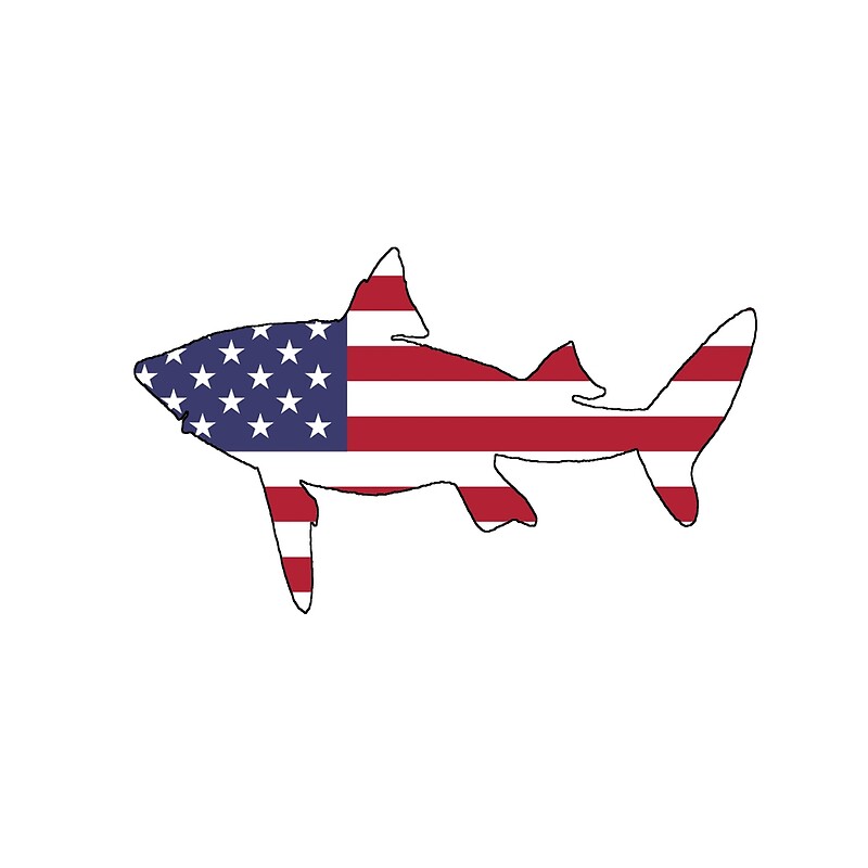 "American Flag Shark" by DelirusFurittus Redbubble