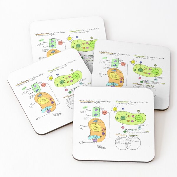 Item preview, Cellular respiration and photosynthesis diagram designed and sold by mealiebob.