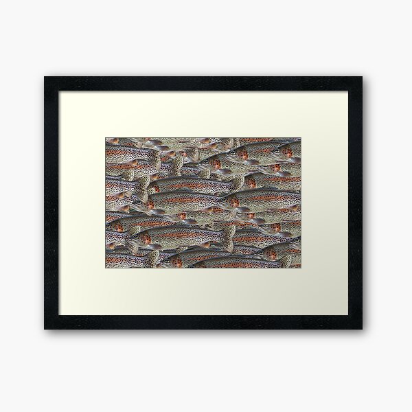 Rainbow Trout. Adelaide Artist Avril Thomas at Magpie Springs Framed Art Print
