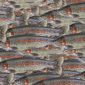Artwork thumbnail, Rainbow Trout by Adelaide artist Avril Thomas at Magpie Springs by MagpieSprings