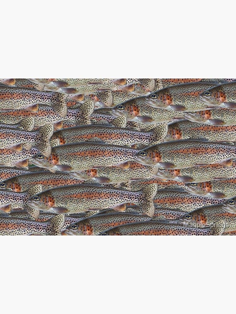 Thumbnail 3 of 3, Sticker, Rainbow Trout by Adelaide artist Avril Thomas at Magpie Springs designed and sold by MagpieSprings.