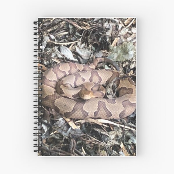 Item preview, Northern Copperhead 1 designed and sold by NimsNature.