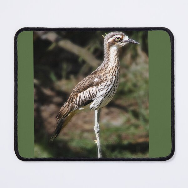 Item preview, Curlew designed and sold by indiafrankk.