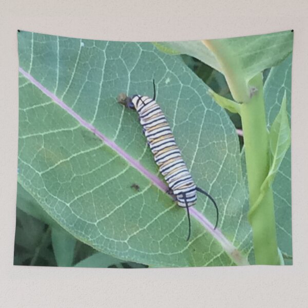 Item preview, Colorful Striped Caterpillar  designed and sold by CJRPics.