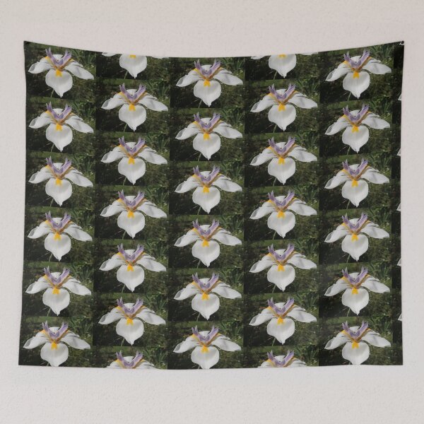 Item preview, Alcanza el cielo, Rain Lily, Tumut, Australia. designed and sold by kaysharp.
