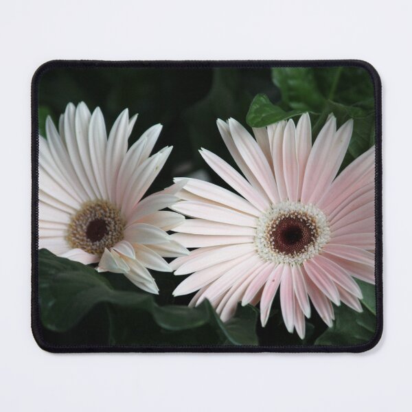 Item preview, Gerber daisies designed and sold by RoseC.