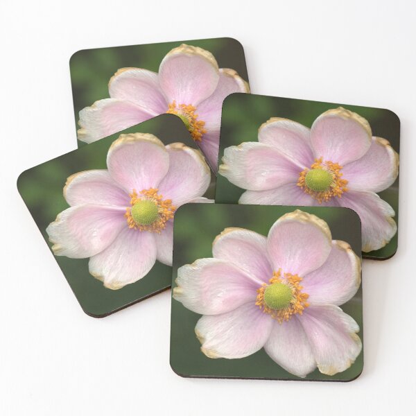 Item preview, Geum designed and sold by days-photographic.