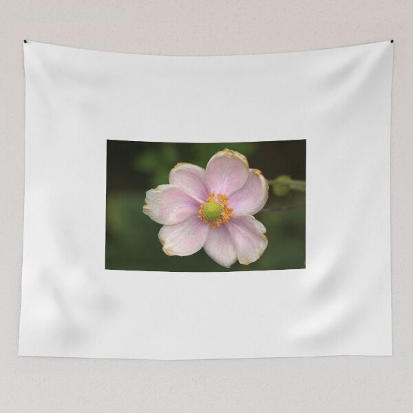 Item preview, Geum designed and sold by days-photographic.