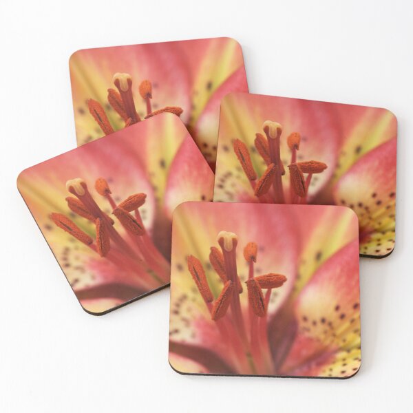 Item preview, Arsenal Lily designed and sold by days-photographic.