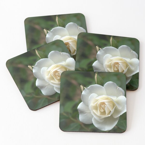 Item preview, White Rose designed and sold by days-photographic.
