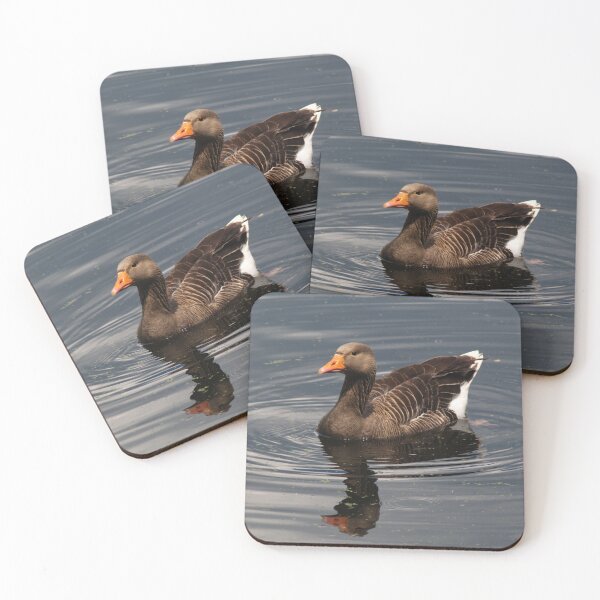 Item preview, Greylag Goose designed and sold by days-photographic.