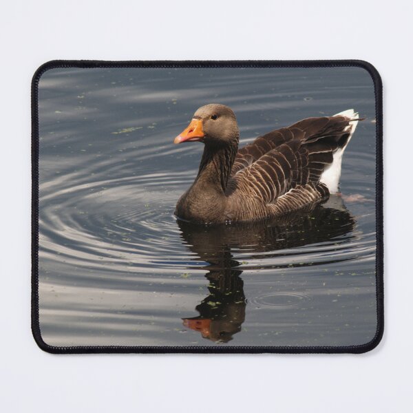 Item preview, Greylag Goose designed and sold by days-photographic.