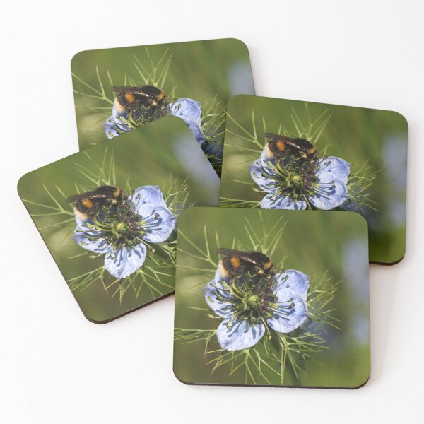 Item preview, Busy Bee designed and sold by days-photographic.