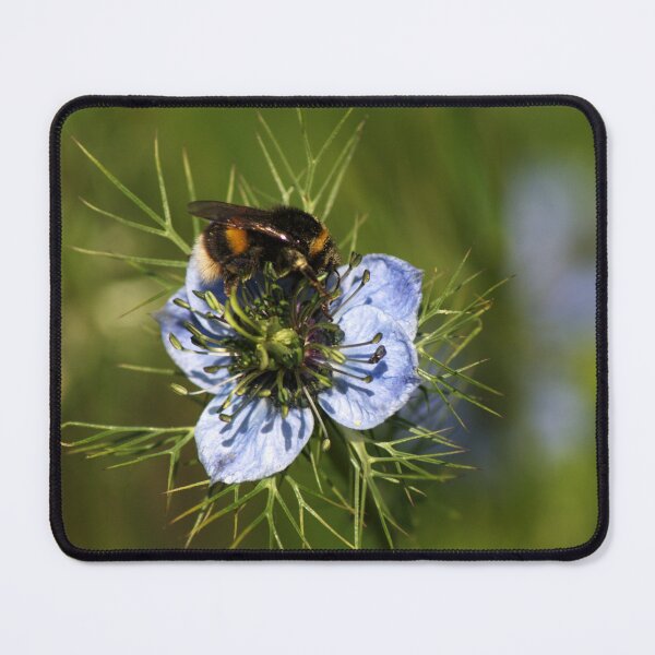 Item preview, Busy Bee designed and sold by days-photographic.