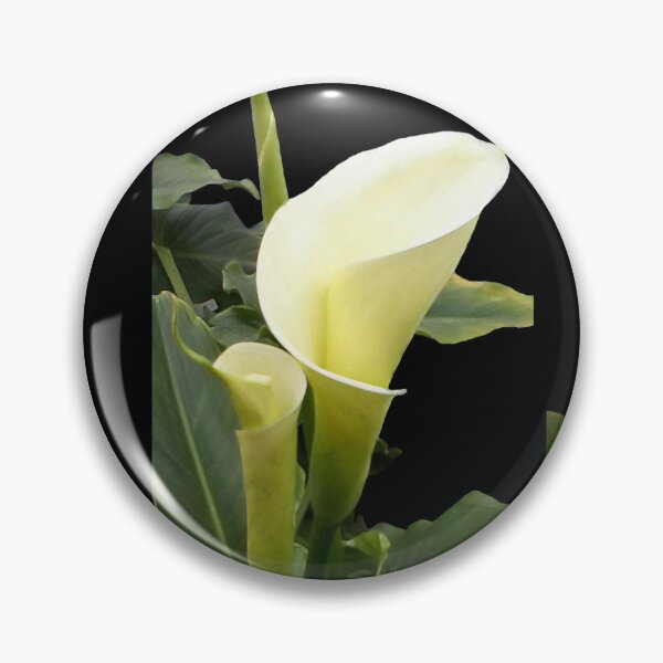 Item preview, Calla lilies collage II designed and sold by Madalena Lobao-Tello.