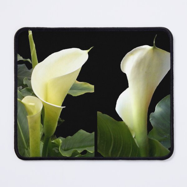 Item preview, Calla lilies collage II designed and sold by Madalena Lobao-Tello.