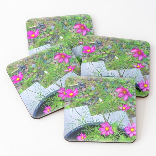 Item preview, Pink Cosmos Flowers in a Pot on my Steps. :D designed and sold by DianeBP.