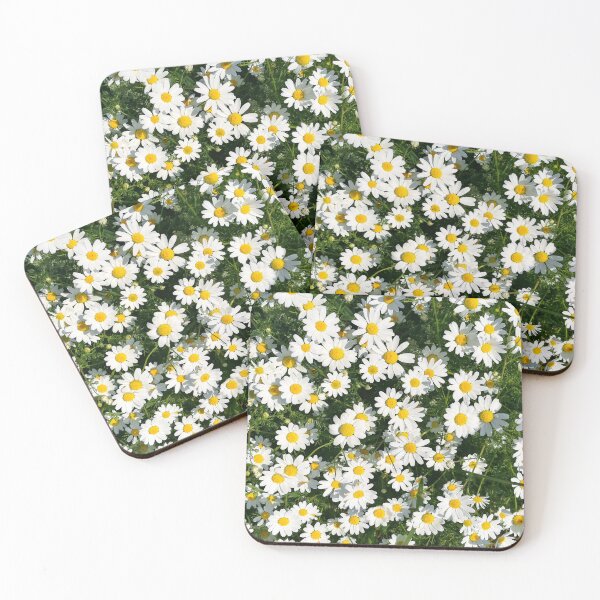 Item preview, Chamomile flowers bloom designed and sold by katiamelnik.