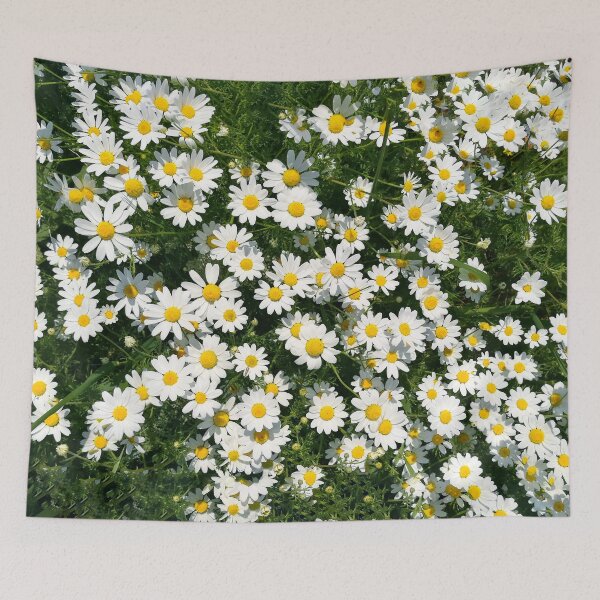 Item preview, Chamomile flowers bloom designed and sold by katiamelnik.
