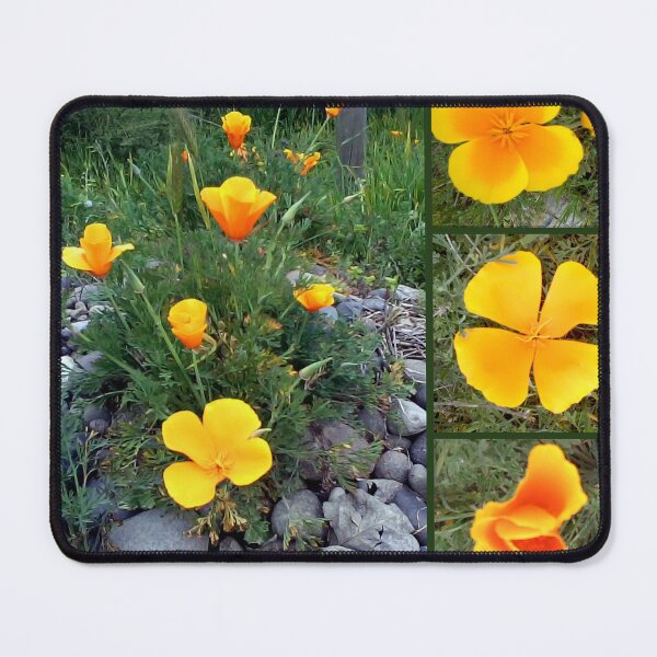 Item preview, Golden light shining collage designed and sold by Madalena Lobao-Tello.
