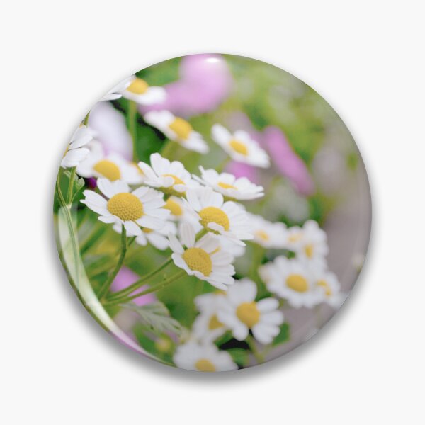 Item preview, Chamomile flowers designed and sold by katiamelnik.