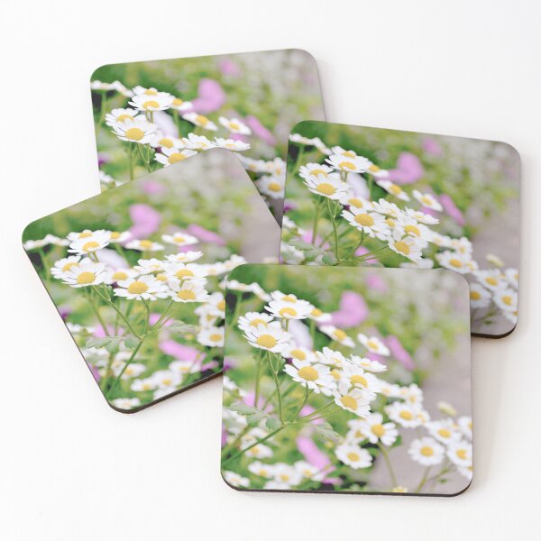 Item preview, Chamomile flowers designed and sold by katiamelnik.