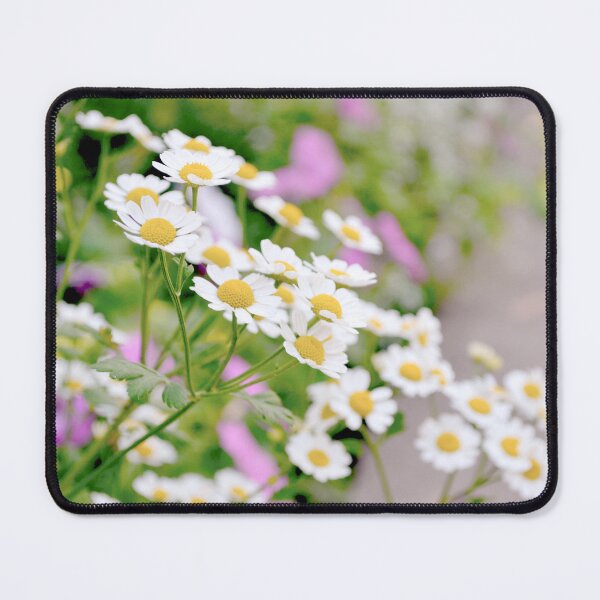 Item preview, Chamomile flowers designed and sold by katiamelnik.