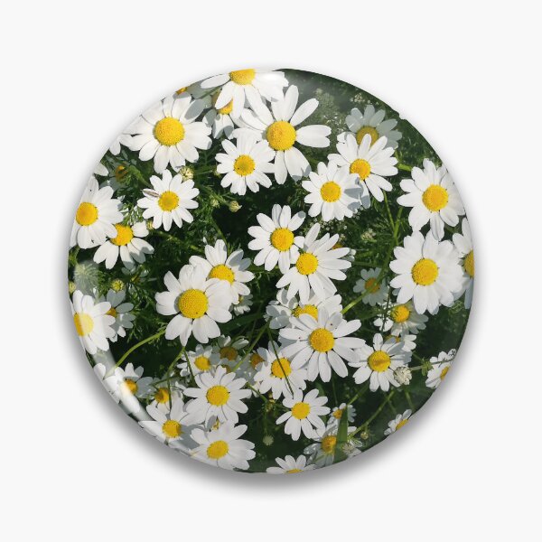 Item preview, Chamomile flowers bloom designed and sold by katiamelnik.