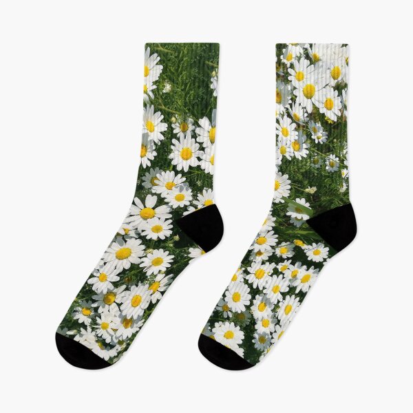 Item preview, Chamomile flowers bloom designed and sold by katiamelnik.