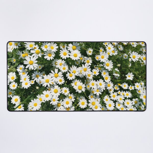 Item preview, Chamomile flowers bloom designed and sold by katiamelnik.