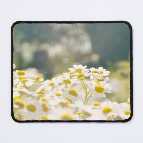 Item preview, Chamomile flowers sunshine designed and sold by katiamelnik.