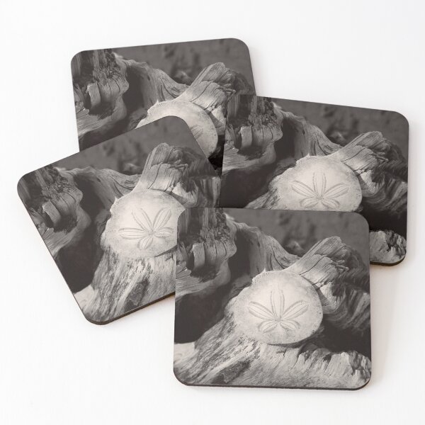 Item preview, Black and White Beach Driftwood Sand Dollar  designed and sold by KsbAesthetics.
