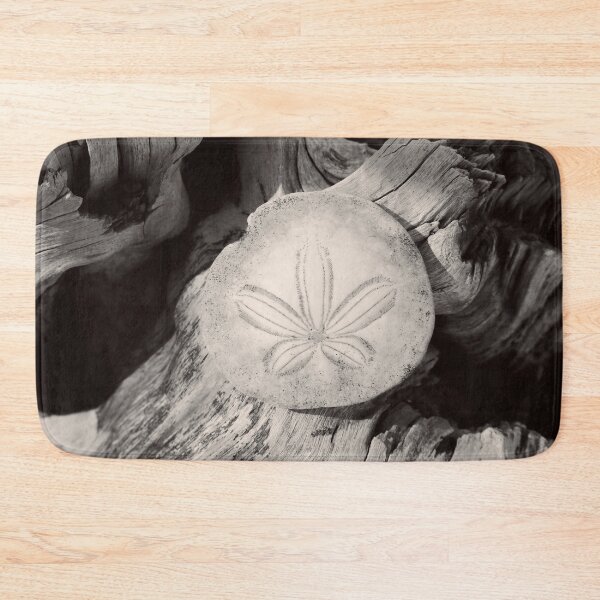 Item preview, Black and White Beach Driftwood Sand Dollar  designed and sold by KsbAesthetics.