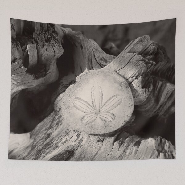Item preview, Black and White Beach Driftwood Sand Dollar  designed and sold by KsbAesthetics.