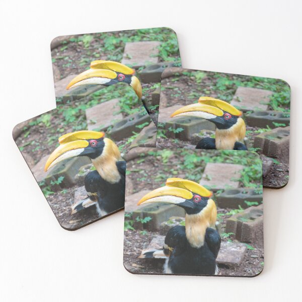Item preview, Great Hornbill designed and sold by PitakChai93.