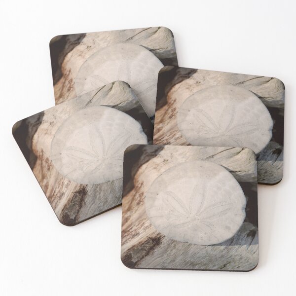 Item preview, Northern California Sand Dollar on Beach Driftwood  designed and sold by KsbAesthetics.