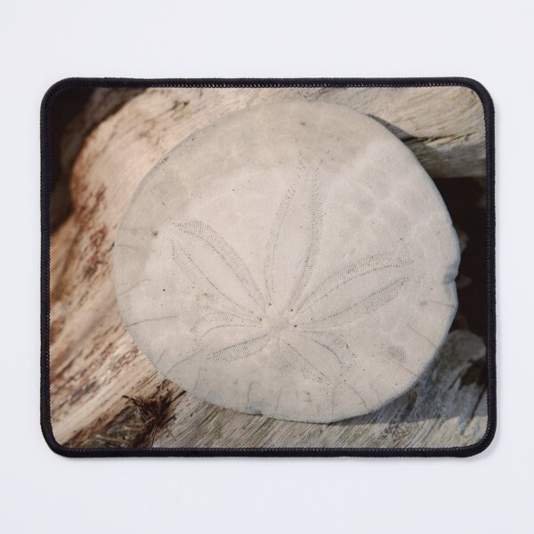 Item preview, Northern California Sand Dollar on Beach Driftwood designed and sold by KsbAesthetics.