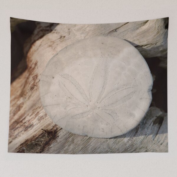 Item preview, Northern California Sand Dollar on Beach Driftwood  designed and sold by KsbAesthetics.
