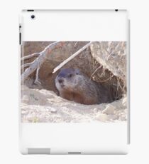Mama Groundhog iPad Case/Skin