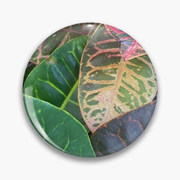 Item preview, Codiaeum Variegatum by Mark Ewing designed and sold by LifeSpice.