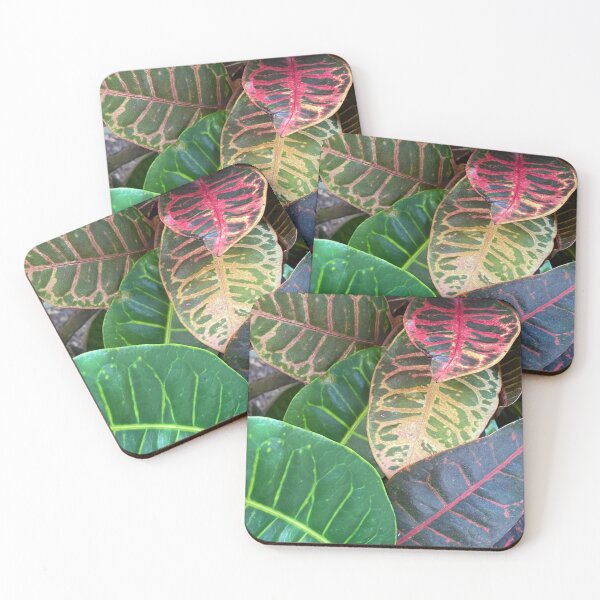 Item preview, Codiaeum Variegatum by Mark Ewing designed and sold by LifeSpice.