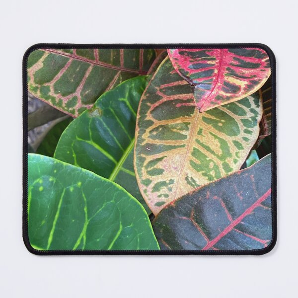 Item preview, Codiaeum Variegatum by Mark Ewing designed and sold by LifeSpice.