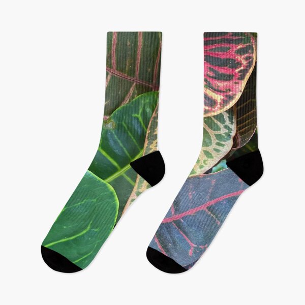Item preview, Codiaeum Variegatum by Mark Ewing designed and sold by LifeSpice.