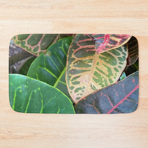 Item preview, Codiaeum Variegatum by Mark Ewing designed and sold by LifeSpice.