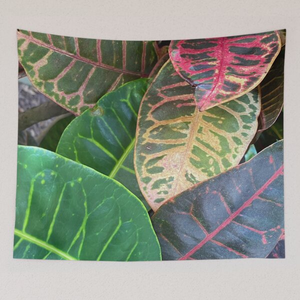 Item preview, Codiaeum Variegatum by Mark Ewing designed and sold by LifeSpice.
