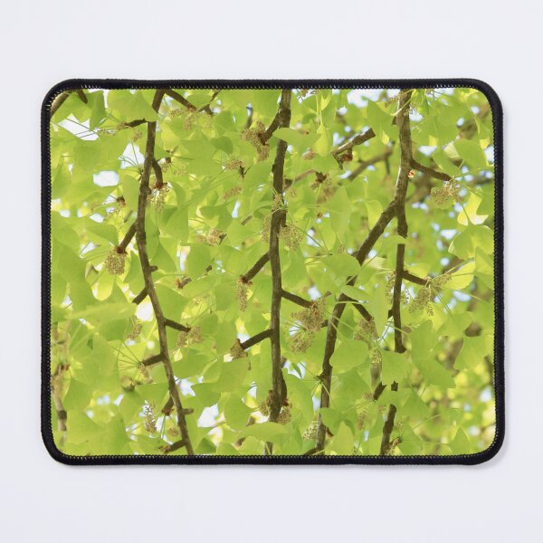 Item preview, Spring Green Gingko Tree Branches and Leaves designed and sold by KsbAesthetics.