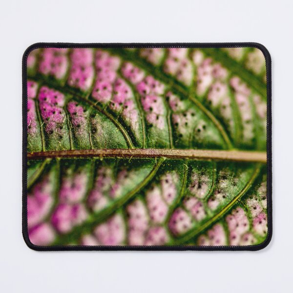Item preview, Persian Shield Plant Leaf Macro (3) designed and sold by PhotosByFelix.