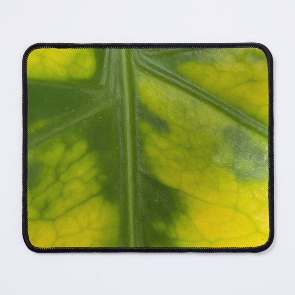 Item preview, Green Leaf by Mark Ewing designed and sold by LifeSpice.